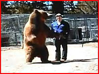 巨大なクマに殺されてしまう男性トレーナーの映像。恐ろしすぎた(@_@;)