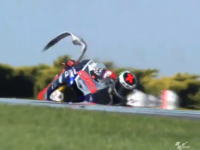 MotoGPオーストラリアでロレンソのマシンにカモメさんが激突するアクシデント。
