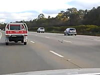 オーストラリアの高速道路では鳩が走っている事もある！？動画。90km/hの鳩。