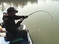 これは川の主か守り神やろｗｗｗイタリアのとある川で釣り人がとんでもない魚を釣り上げる