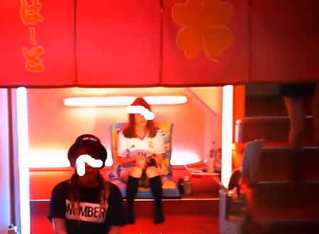 今も残る大阪の遊郭、飛田新地（飛田遊廓）に潜入し撮影してきたビデオ。