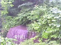 長野県南木曽町で撮影された「土石流発生時の映像」が怖すぎる(((ﾟДﾟ)))