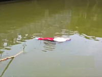 中国の川で水死体のフリをしていたBBAが迷惑すぎるとニュースになった動画。