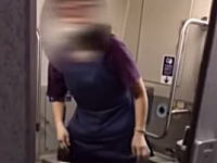 台湾の新幹線で日本人女性が乗務員に殴りかかる（動画）「創価学会インターナショナル！」