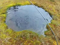 水溜りフライフィッシング。3メートルほどの小さな水溜りでトラウトを釣り上げる動画。