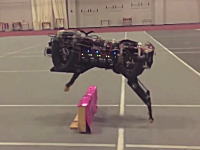 走りながら軽やかにジャンプ！例の4足歩行ロボットがかなり進化していた！
