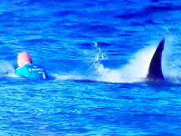 南アフリカで行われていたサーフィンの大会でサーファーがサメに襲われてしまう。その瞬間。