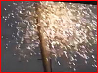 火花がバーン！電柱に登っていた人が電線に触れるとこんな事になってしまうらしい動画。