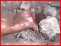 集団の恐怖。全裸の女性に火をつけて大きな石を落として殺害。恐ろしいビデオがネットにアップされる。