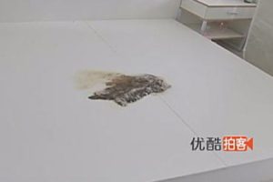 中国で家具付き賃貸アパートのベッドの下から恐ろしい物が発見される(((ﾟДﾟ)))