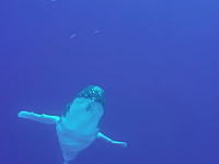 すんごい迫力。クジラが水中からどばーっと飛び出す瞬間を至近距離から撮影したビデオ。