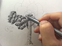 立体感を120%引き出す樹木の描き方。漫画家でイラストレーターの吉村拓也さんによる作画動画が人気に。