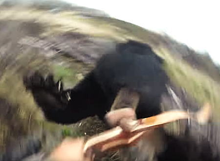 こええええ(@_@;)大きな野生のクマに襲われたハンターのビデオ。