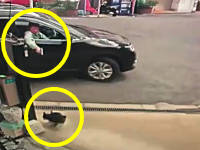 飼い猫をエアガンで撃つ車の男。大阪住之江区で拡散希望中のビデオ。
