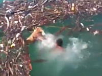 溺れた人とそれを助けようと飛び込んだ男性の両方が沈んでしまう衝撃映像。