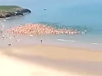 アイルランドのヌーディストビーチで世界記録。2500人以上の女性がスキニーディップ。