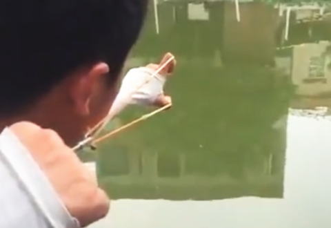 指パチンコで糸付きの矢を放って魚を仕留める器用すぎる男の映像がすごい。