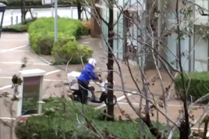 台風21号の動画。大阪でドミノピザの配達バイクが飛ばされたんだけど。