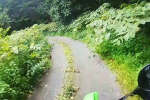 大船松倉林道でヒグマに遭遇してしまったバイク乗りたちの映像。焦りまくりがリアル(°_°)