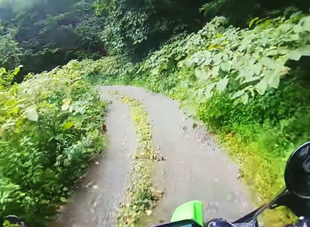 大船松倉林道でヒグマに遭遇してしまったバイク乗りたちの映像。焦りまくりがリアル(°_°)