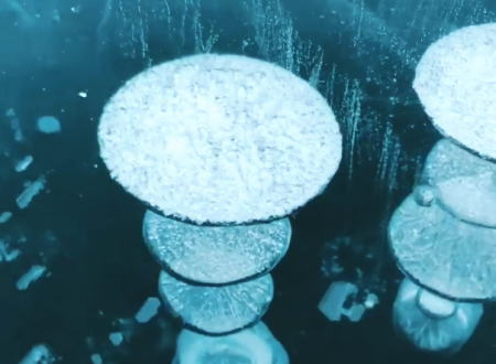 メタンガスの泡が水中で凍るアイス・バブルと呼ばれる現象がすごい。なんという不思議な世界。