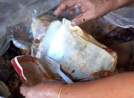 マクドナルドのゴミを漁って持ち帰り家族の為に新たな料理を生み出す母親たち。フィリピンのパグパグ問題。