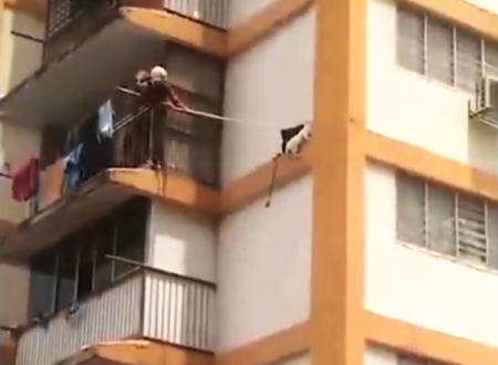 ビルの外壁11階部分で身動きが取れなくなっていたネコをはたき落とす救助方法。