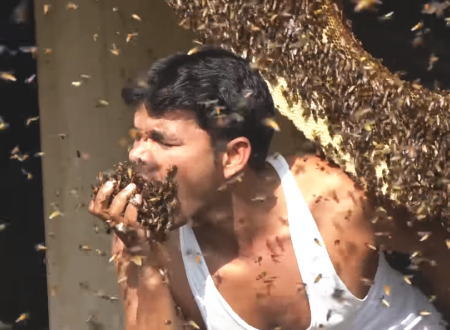 なにしてるのｗｗｗ蜂蜜を愛しすぎておかしくなったインド人の異常行動がｗｗｗ