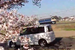 これはひどい。目の前を通過した車に発狂する撮り鉄さんたちの動画。2019年最新版。