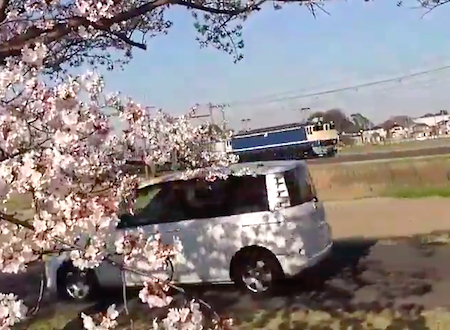 これはひどい。目の前を通過した車に発狂する撮り鉄さんたちの動画。2019年最新版。