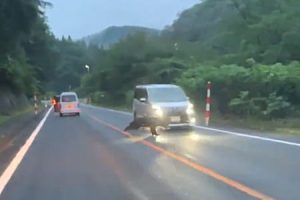 秋田の国道7号線で野生のクマさんにフォグランプを破壊されてしまったヴォクシーの映像。