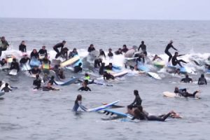 多くのサーファーが一つの波に殺到するとこうなるｗｗｗ譲り合わないサーフィンのイベントが楽しそう。