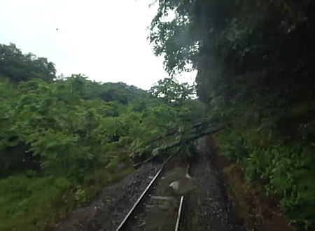 JR大船渡線事故。トップスピード近くで走行中の電車が倒木と衝突してしまう瞬間。