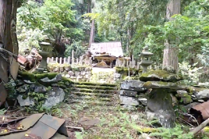 誰もいなくなった村「永谷集落」福井県にある自然にのまれかけている集落を訪問した映像。