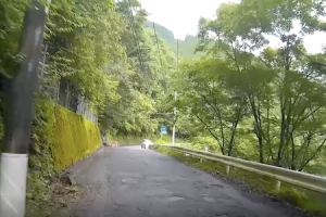 最悪のタイミング。静岡の県道60号線で落石に襲われてしまったドラレコが怖い。
