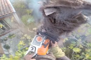 キコリパニック。高所でキコリ中にその木が炎上してしまう恐ろしいビデオ。