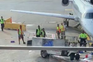 飛行機危機一髪！オヘア国際空港でで貨物カートが大暴走してしまう事故の映像。