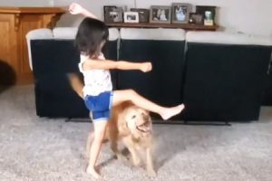 賢い犬と優れた小さなトレーナー。少女とワンコの最高にキュートな動画がみつかる。