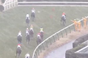 【競馬】中山4R障害レースでマイネルバッカーノが係員に衝突する事故の動画。