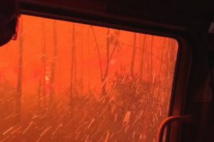 森林火災の現場から脱出する消防車が炎の嵐に巻き込まれる瞬間の映像が怖い。オーストラリア。