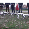 MITの学生たちがロボットのテストをしている様子がめっちゃ楽しそうｗｗｗｗ