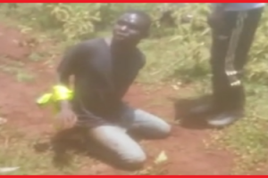 【微閲覧注意】盗みを働いたアフリカ人が手を縛られ”棒で叩きのめされる私刑”を受ける映像