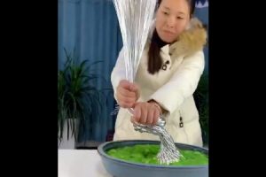 【驚愕】これは凄い。ワイヤーを使って中国人が盆栽を作った結果