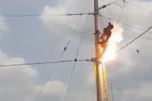 【閲覧注意】電柱に登った電気工事士が感電。焦げ焦げになるまで燃え続ける映像が怖い