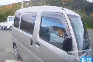 「ゔわぁキタキタ！ドカン！嘘でしょおぉ⁉️」見通しの良いT字路で主婦が高齢者が運転する車に衝突されるドラレコ映像