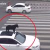【衝撃】車の屋根の上に犬を乗せて走らせてしまう中国人がワロタ　