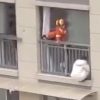 【衝撃】高層ビルから自殺しようとする少女　それを救おうとした消防士がやらかす・・・
