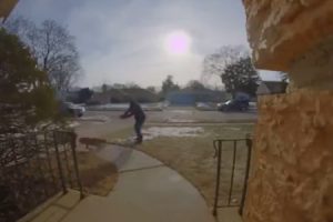 【衝撃】襲ってきた隣人の飼うピットブルをその場で射殺してしまう映像