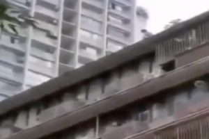 【閲覧注意】母親が自分の赤ちゃんをマンションの屋上から放り投げ、その後飛び降り自殺してしまう映像