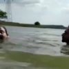 【閲覧注意】ワニが生息する川で泳いでいた男がワニに食べられる瞬間の映像